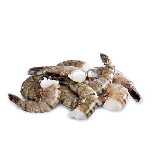 Coastal Seafood - Headless Shell On