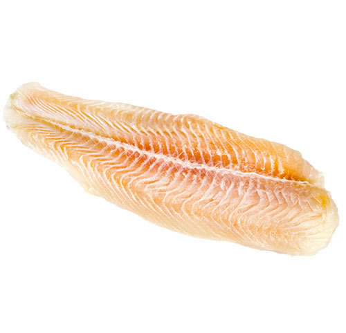 Coastal Seafood Products - Coastal Seafood Swai